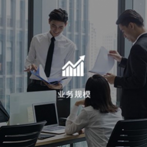 业务规模