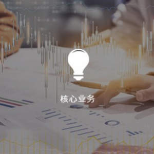 核心优势